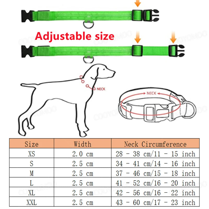 El Collar Centinela del Reino — Collar LED Luminoso Recargable Anti-Pérdida para Perros