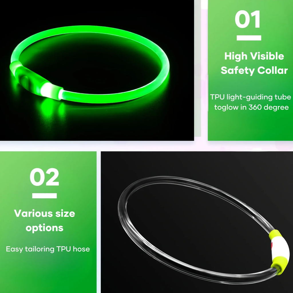 El Collar de Luz del Reino — Collar LED Luminoso Recargable para Perros