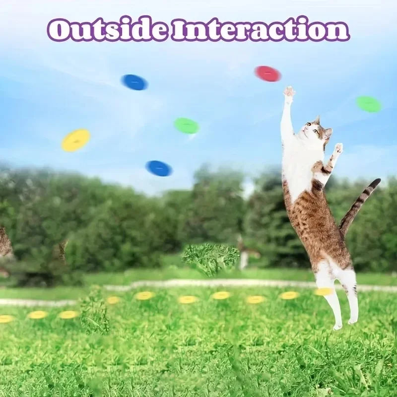 La Ballesta del Reino — Pistola Lanzadora de Frisbees Interactiva para Gatos y Perros