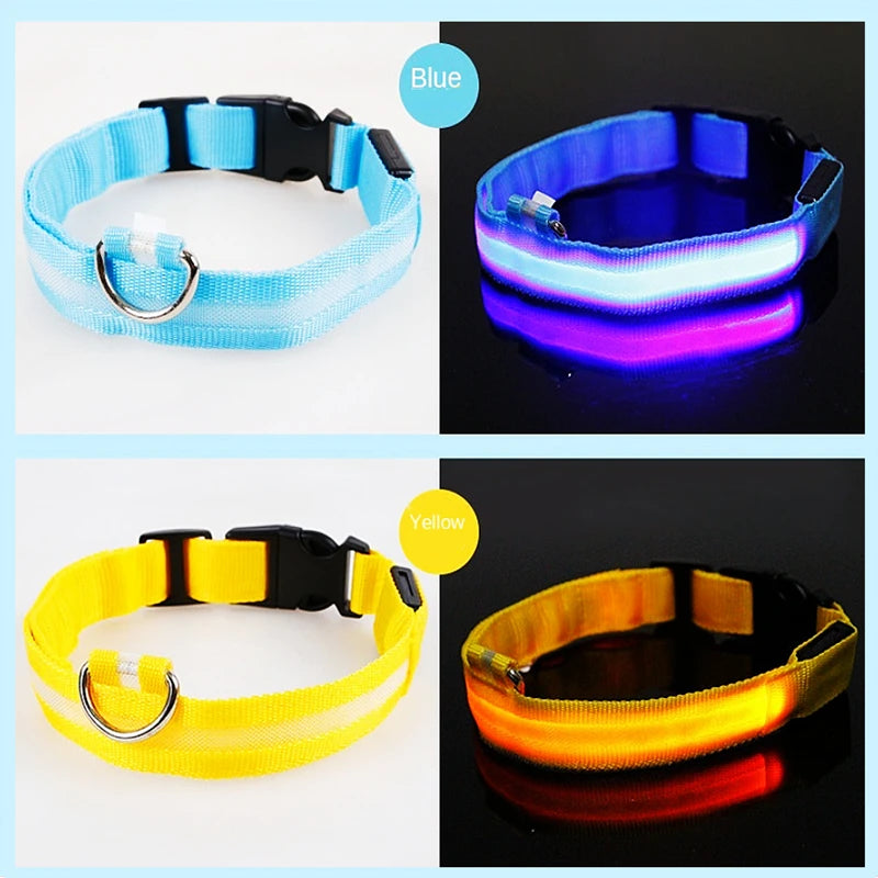 El Collar Centinela del Reino — Collar LED Luminoso Recargable Anti-Pérdida para Perros