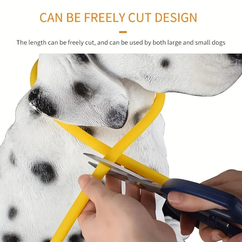 El Collar de Luz del Reino — Collar LED Luminoso Recargable para Perros