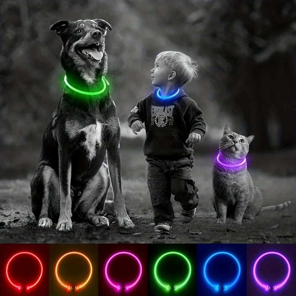 El Collar de Luz del Reino — Collar LED Luminoso Recargable para Perros