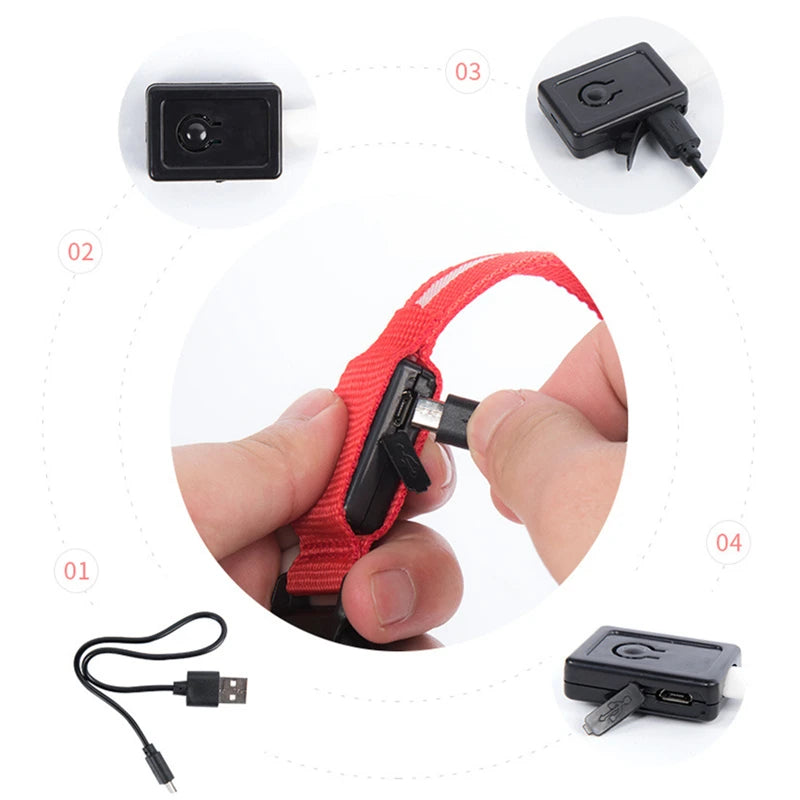 El Collar Centinela del Reino — Collar LED Luminoso Recargable Anti-Pérdida para Perros