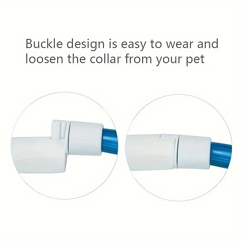 El Collar de Luz del Reino — Collar LED Luminoso Recargable para Perros