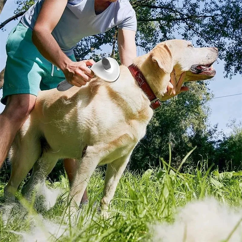 El Peine Girasol del Reino — Cepillo Autolimpiante de Aseo para Perros y Gatos