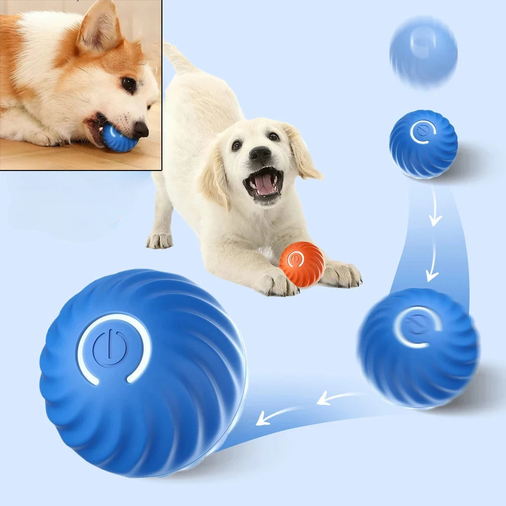 La Esfera Errante del Reino — Pelota Interactiva Automática para Perros