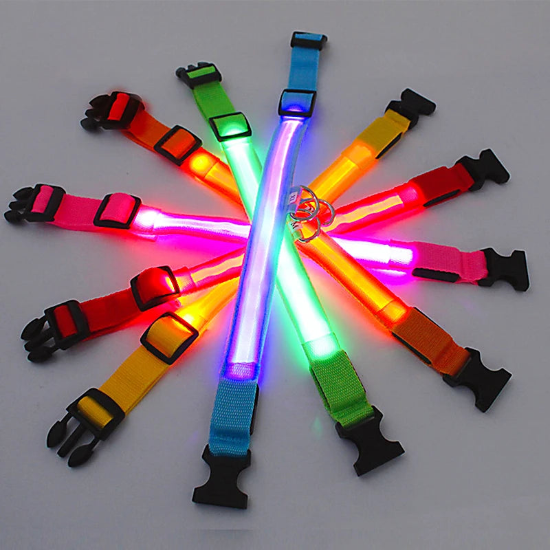 El Collar Centinela del Reino — Collar LED Luminoso Recargable Anti-Pérdida para Perros