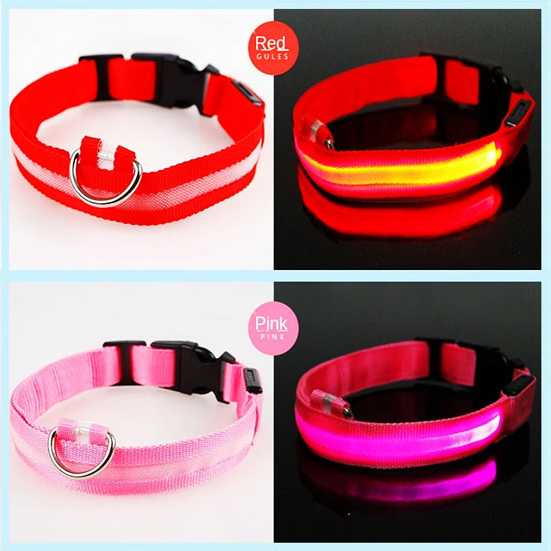El Collar Centinela del Reino — Collar LED Luminoso Recargable Anti-Pérdida para Perros