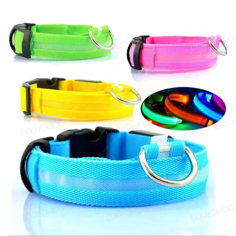 El Collar Centinela del Reino — Collar LED Luminoso Recargable Anti-Pérdida para Perros