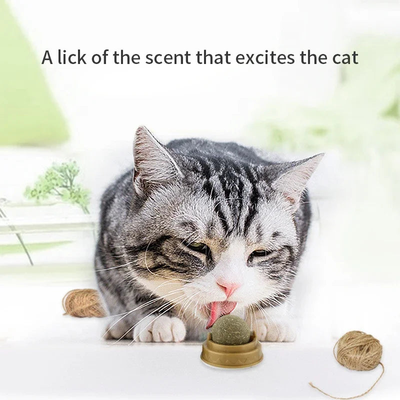 La Esfera de Hierba Gatera del Reino — Bola de Catnip Adhesiva para Gatos