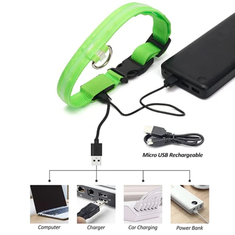 El Collar Centinela del Reino — Collar LED Luminoso Recargable Anti-Pérdida para Perros