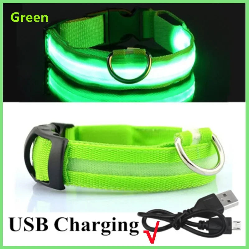 El Collar Centinela del Reino — Collar LED Luminoso Recargable Anti-Pérdida para Perros
