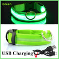 El Collar Centinela del Reino — Collar LED Luminoso Recargable Anti-Pérdida para Perros