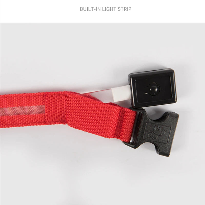 El Collar Centinela del Reino — Collar LED Luminoso Recargable Anti-Pérdida para Perros