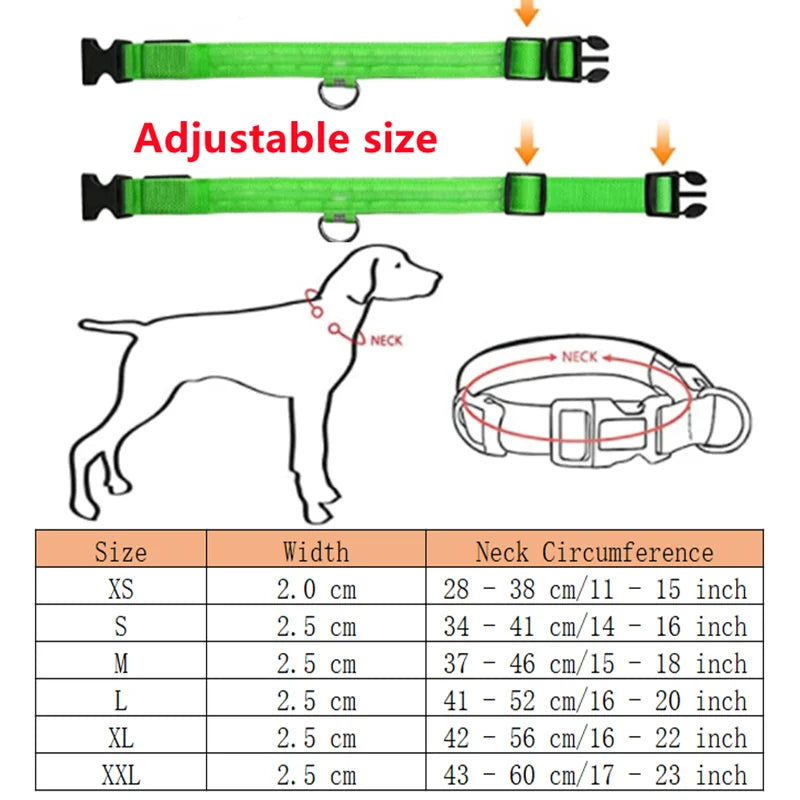 El Collar Centinela del Reino — Collar LED Luminoso Recargable Anti-Pérdida para Perros