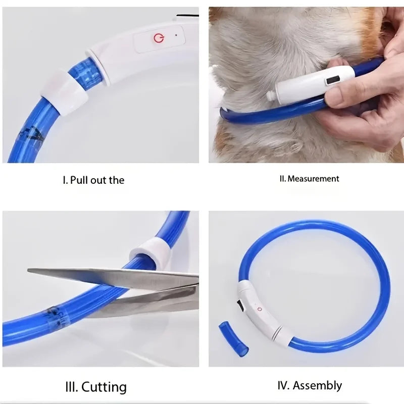 El Collar de Luz del Reino — Collar LED Luminoso Recargable para Perros