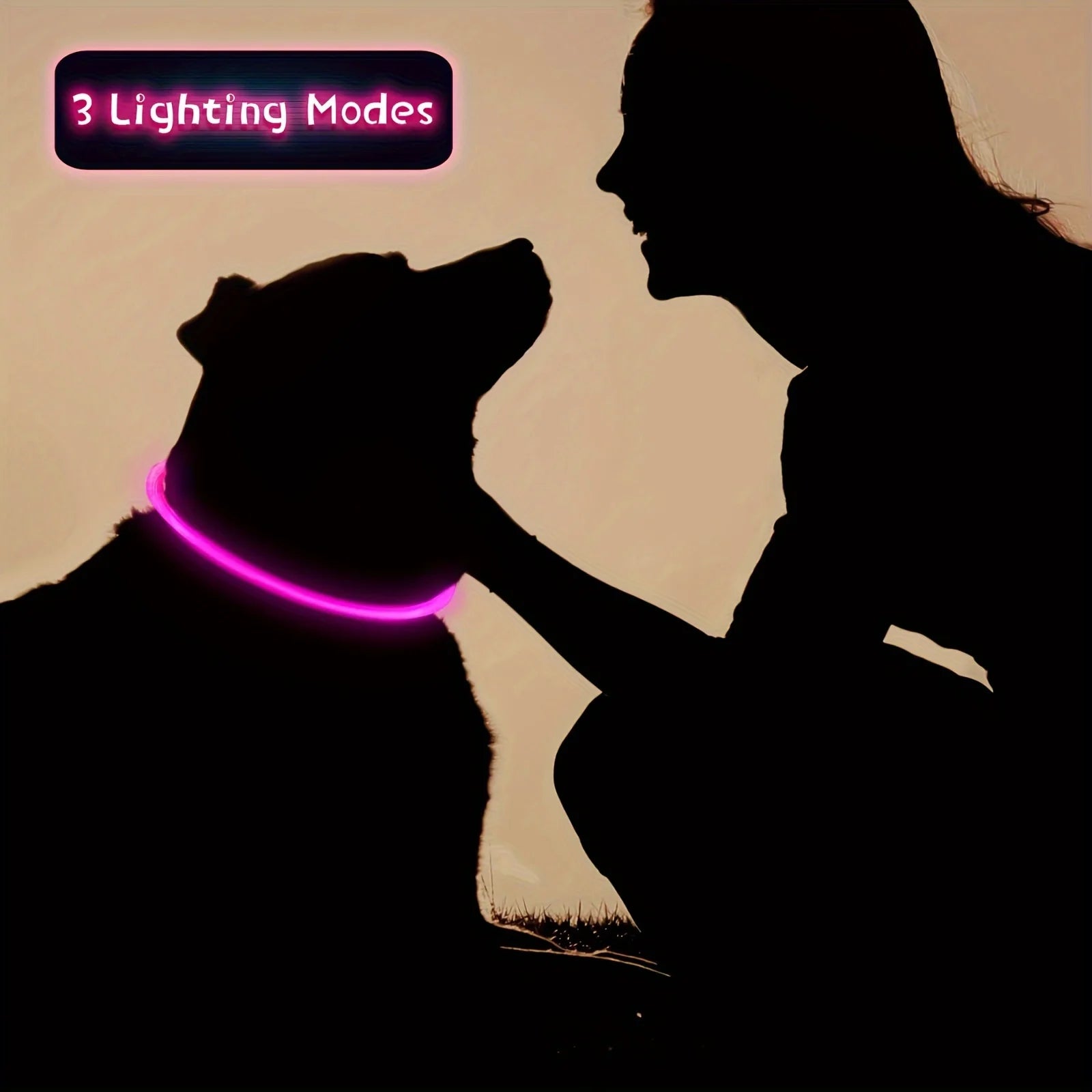 El Collar de Luz del Reino — Collar LED Luminoso Recargable para Perros
