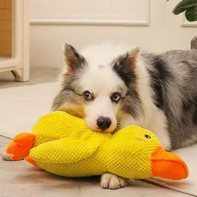 El Pato del Reino — Juguete de Peluche Interactivo para Perros 🦆⚔️