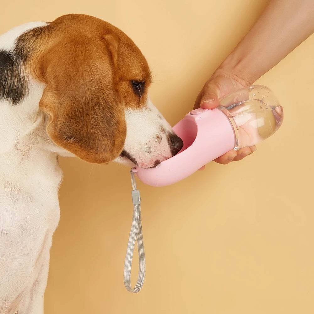 La Cantimplora del Explorador — Botella de Agua Portátil para Perros y Gatos