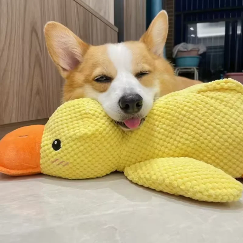 El Pato del Reino — Juguete de Peluche Interactivo para Perros 🦆⚔️