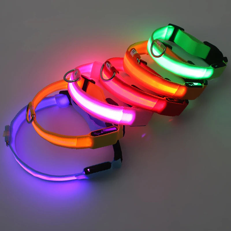 El Collar Centinela del Reino — Collar LED Luminoso Recargable Anti-Pérdida para Perros