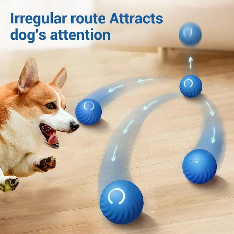 La Esfera Errante del Reino — Pelota Interactiva Automática para Perros