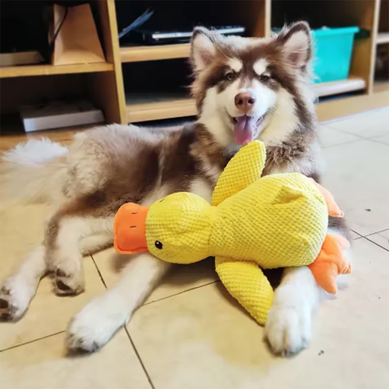 El Pato del Reino — Juguete de Peluche Interactivo para Perros 🦆⚔️