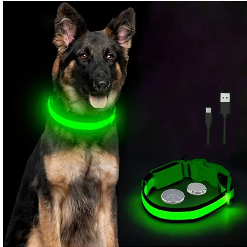 El Collar Centinela del Reino — Collar LED Luminoso Recargable Anti-Pérdida para Perros