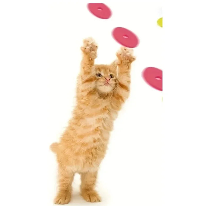 La Ballesta del Reino — Pistola Lanzadora de Frisbees Interactiva para Gatos y Perros