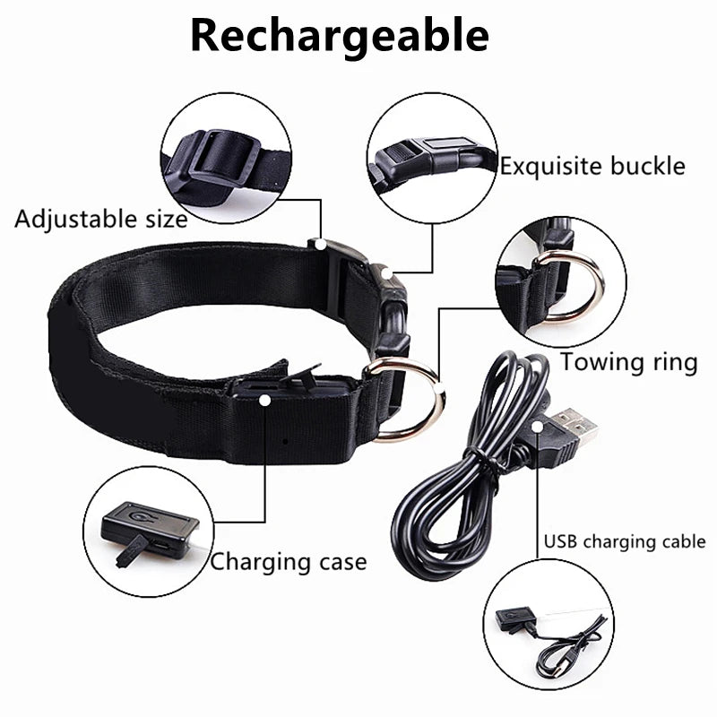 El Collar Centinela del Reino — Collar LED Luminoso Recargable Anti-Pérdida para Perros