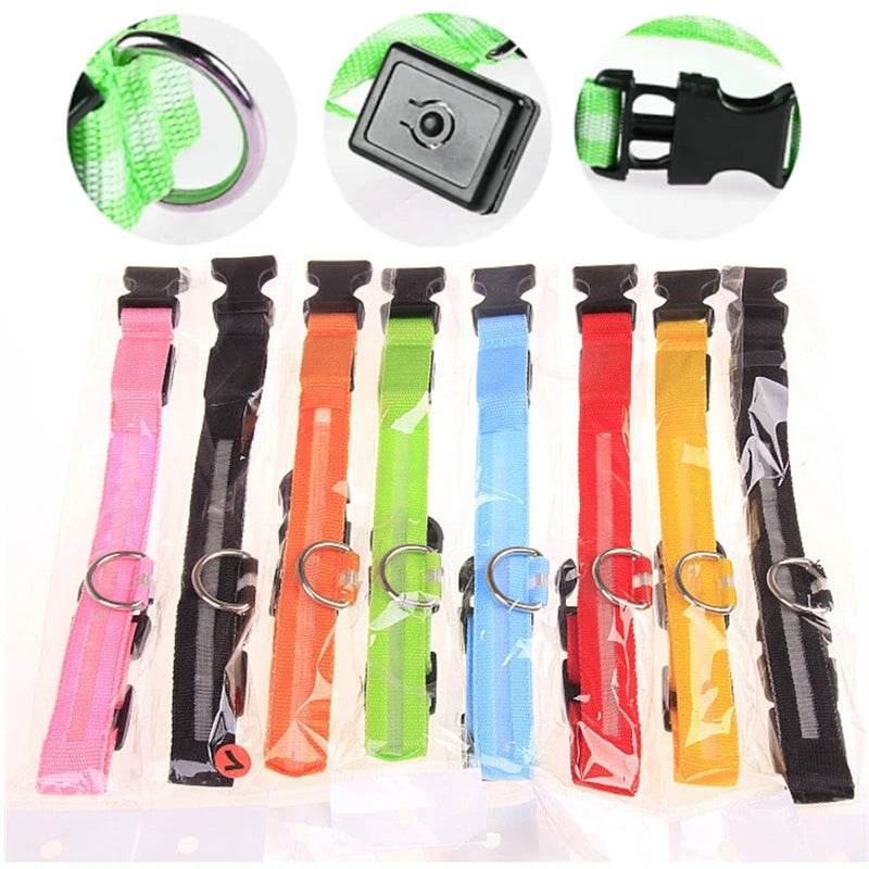 El Collar Centinela del Reino — Collar LED Luminoso Recargable Anti-Pérdida para Perros