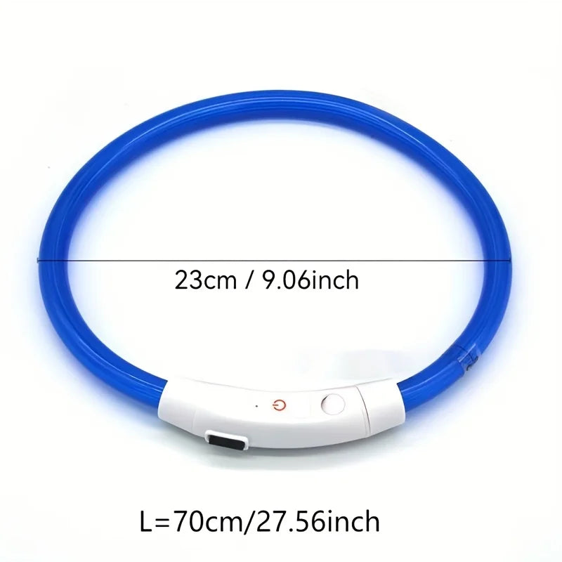 El Collar de Luz del Reino — Collar LED Luminoso Recargable para Perros