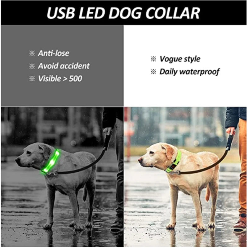 El Collar Centinela del Reino — Collar LED Luminoso Recargable Anti-Pérdida para Perros