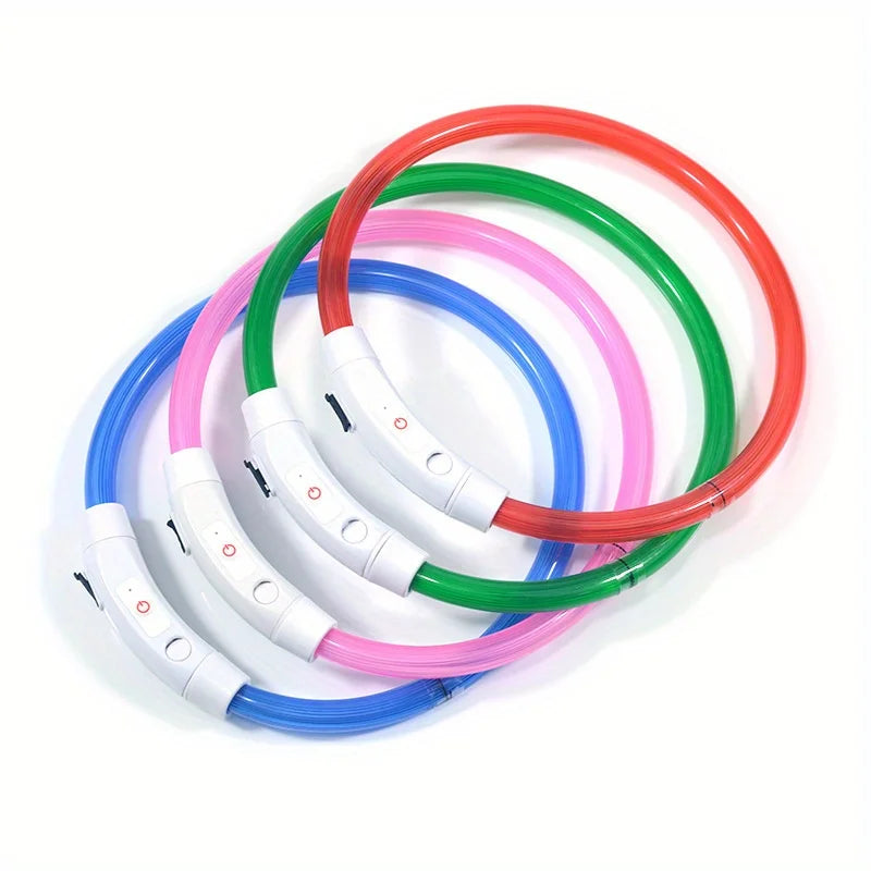 El Collar de Luz del Reino — Collar LED Luminoso Recargable para Perros