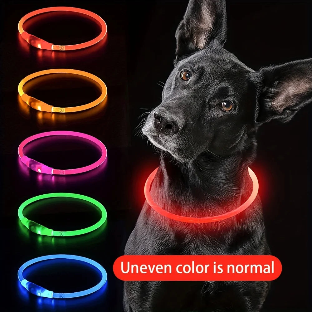 El Collar de Luz del Reino — Collar LED Luminoso Recargable para Perros