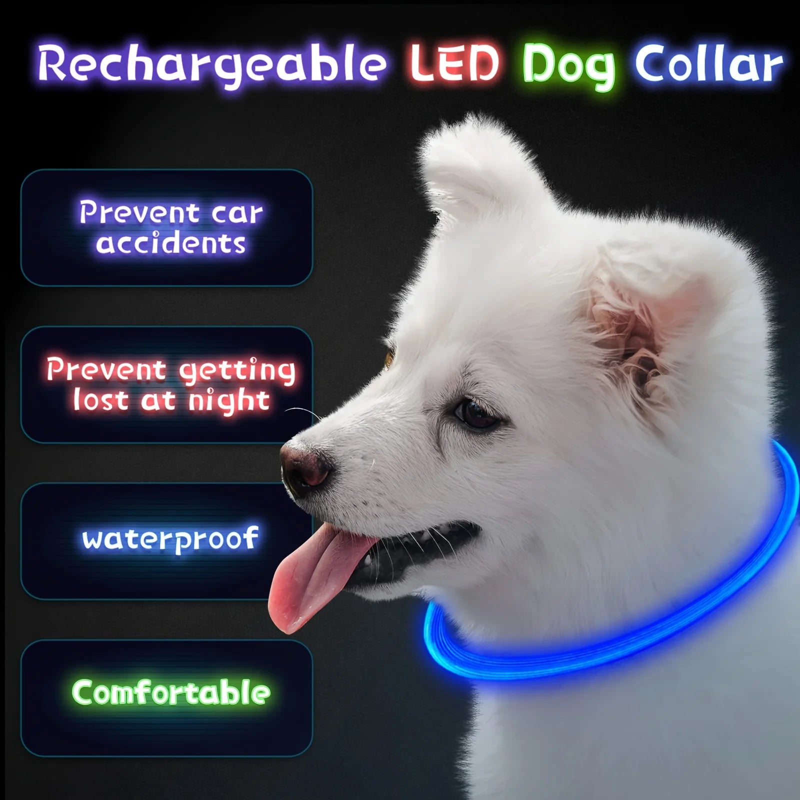 El Collar de Luz del Reino — Collar LED Luminoso Recargable para Perros