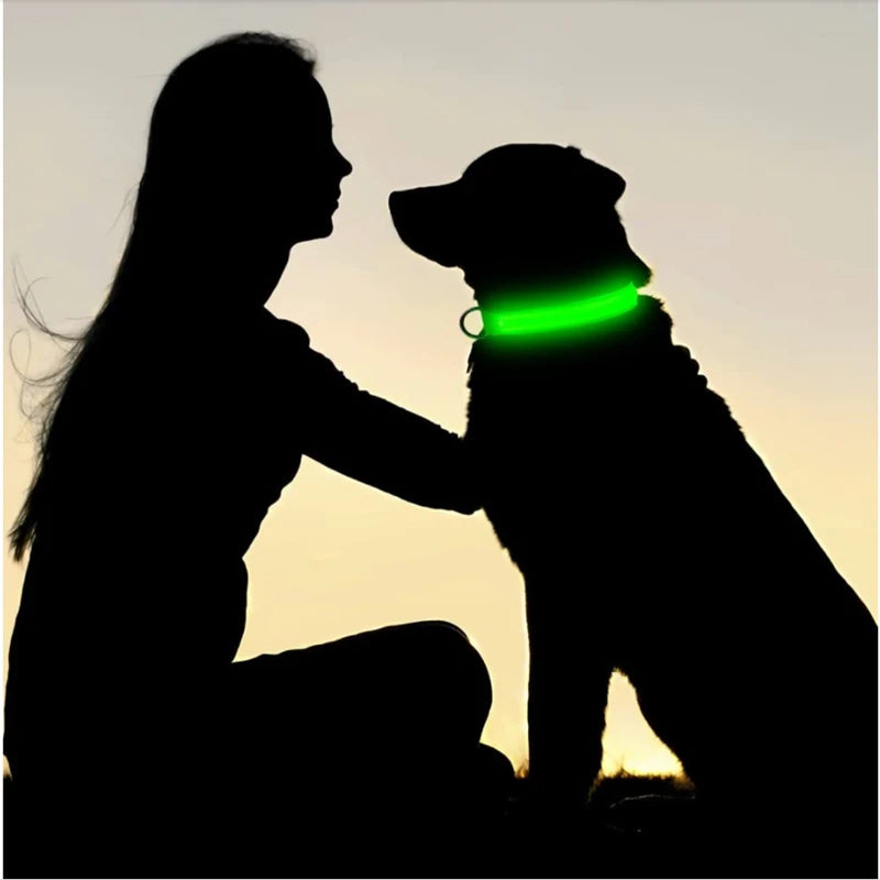 El Collar Centinela del Reino — Collar LED Luminoso Recargable Anti-Pérdida para Perros