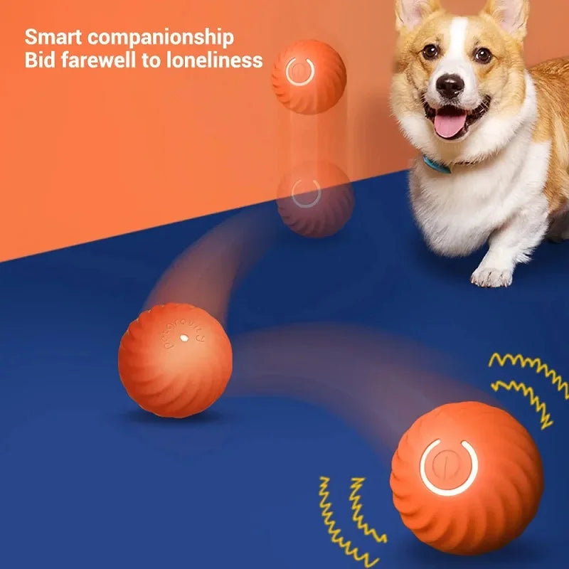 La Esfera Errante del Reino — Pelota Interactiva Automática para Perros
