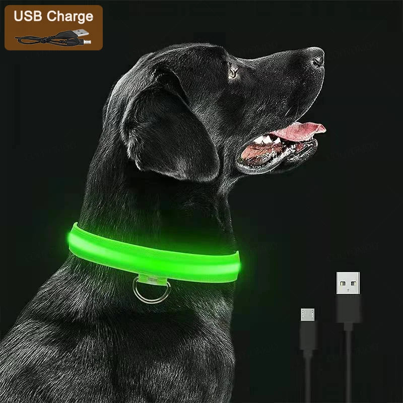 El Collar Centinela del Reino — Collar LED Luminoso Recargable Anti-Pérdida para Perros