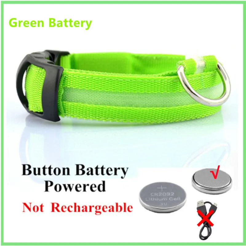 El Collar Centinela del Reino — Collar LED Luminoso Recargable Anti-Pérdida para Perros