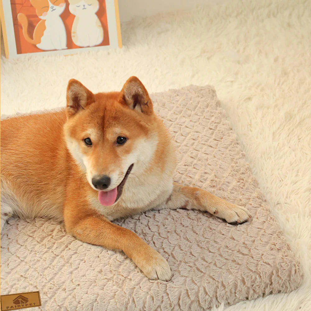El Lecho del Señor — Cama Ortopédica 3D con Funda Lavable para Perros"
