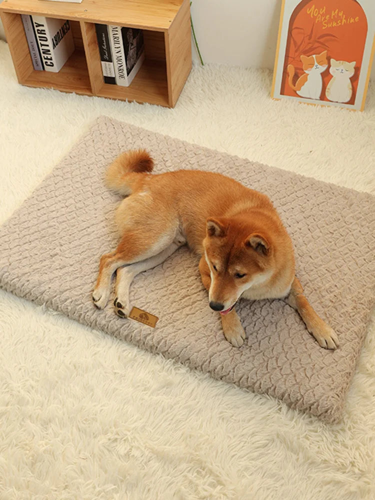 El Lecho del Señor — Cama Ortopédica 3D con Funda Lavable para Perros"