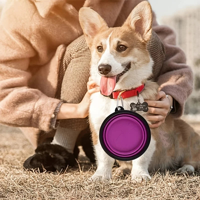 El Cuenco Plegable del Viajero — Bol de Silicona Portátil para Perros y Gatos