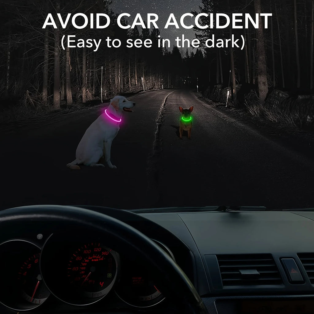 El Collar de Luz del Reino — Collar LED Luminoso Recargable para Perros