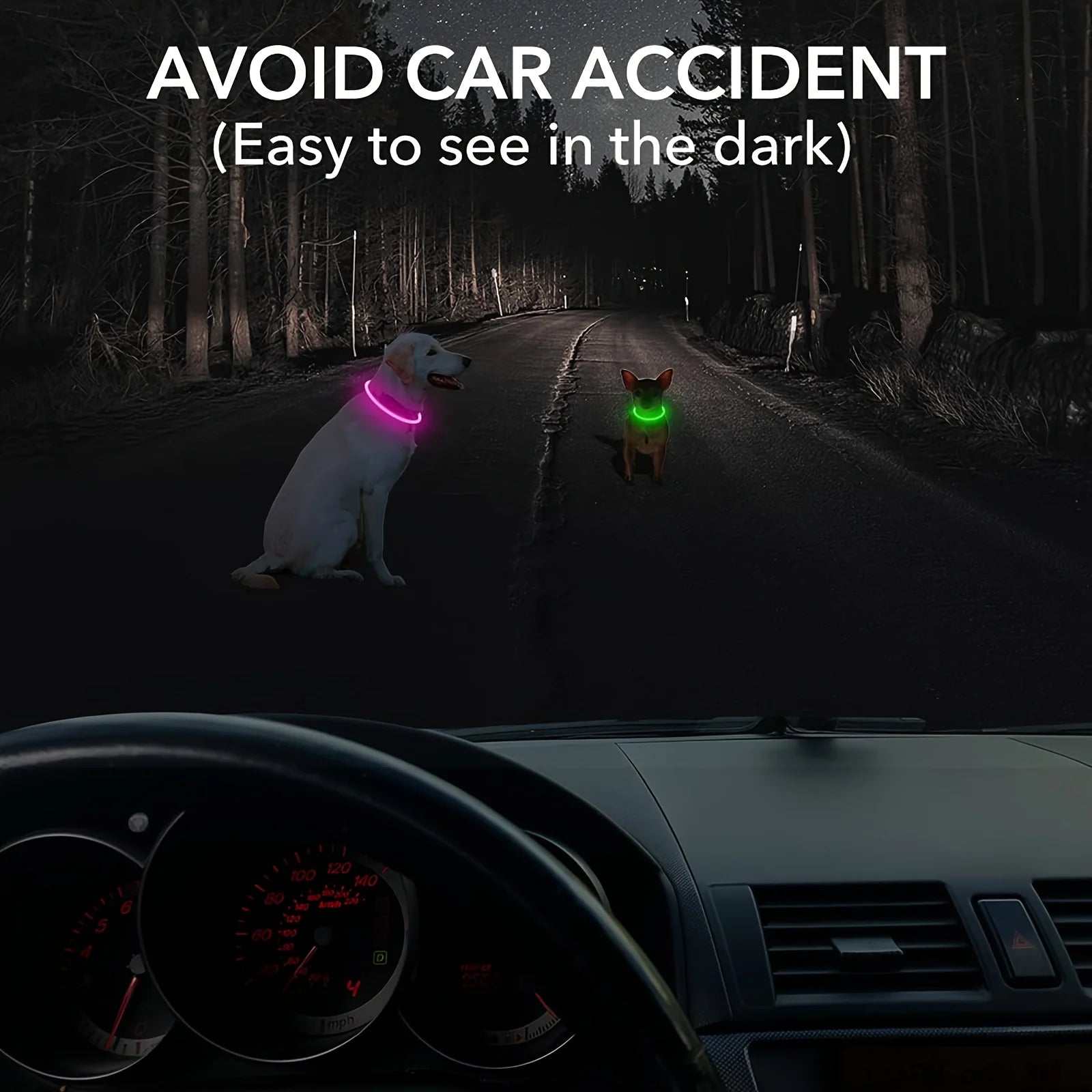 El Collar de Luz del Reino — Collar LED Luminoso Recargable para Perros