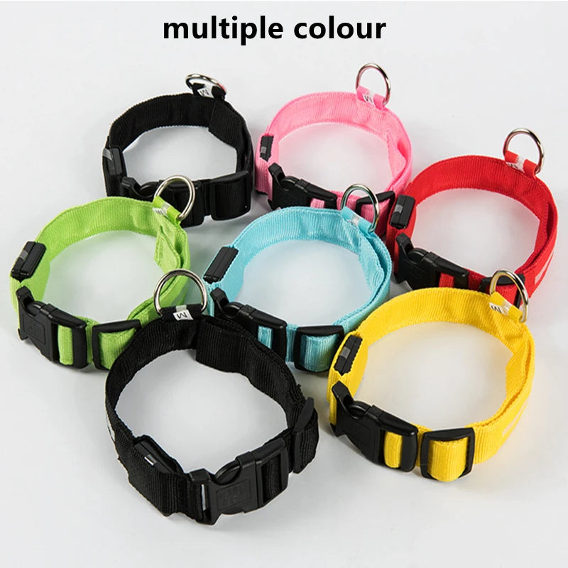 El Collar Centinela del Reino — Collar LED Luminoso Recargable Anti-Pérdida para Perros