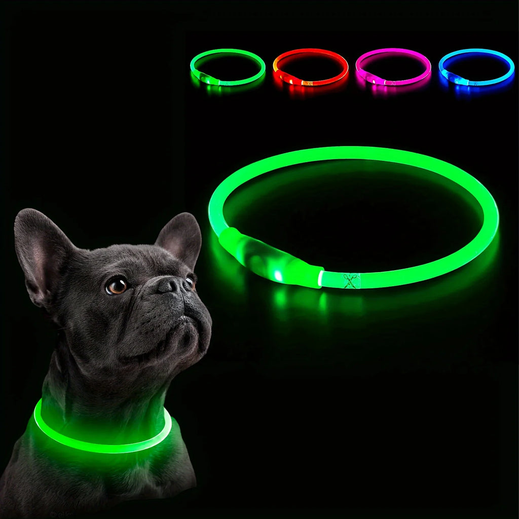El Collar de Luz del Reino — Collar LED Luminoso Recargable para Perros