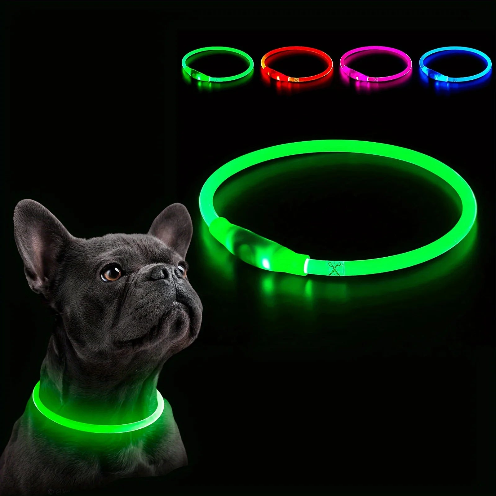 El Collar de Luz del Reino — Collar LED Luminoso Recargable para Perros