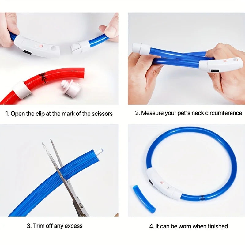 El Collar de Luz del Reino — Collar LED Luminoso Recargable para Perros