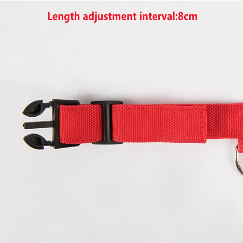 El Collar Centinela del Reino — Collar LED Luminoso Recargable Anti-Pérdida para Perros